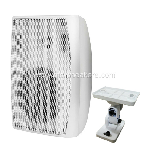 6.5 inch 2-way Wall Speaker with gimbal bracket